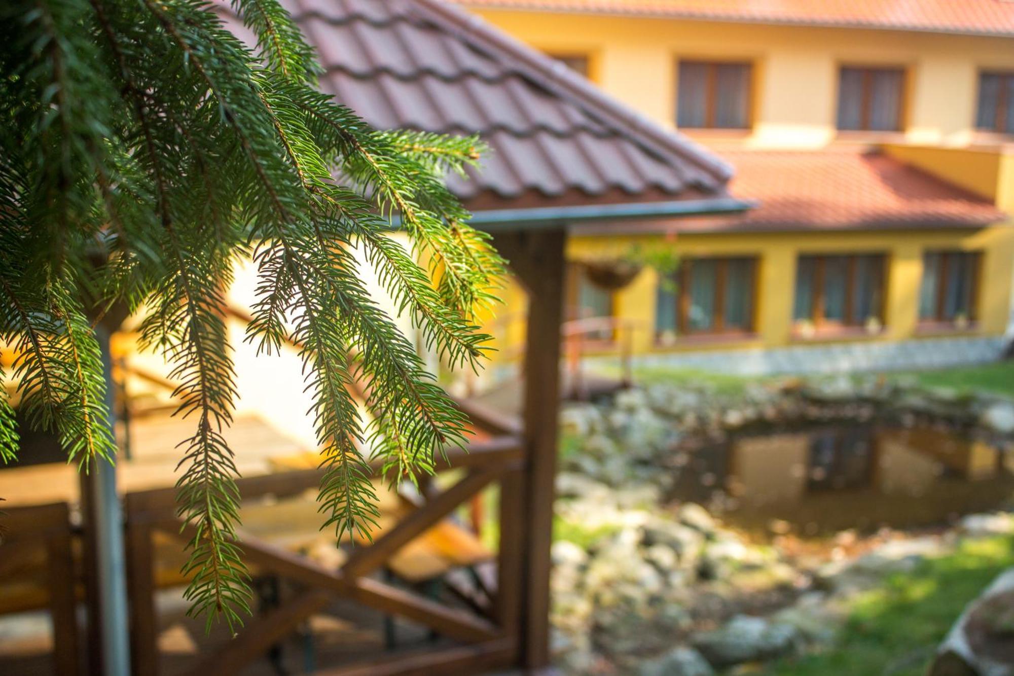 Hotel Dobry Klimat Шклярська Поремба Екстер'єр фото